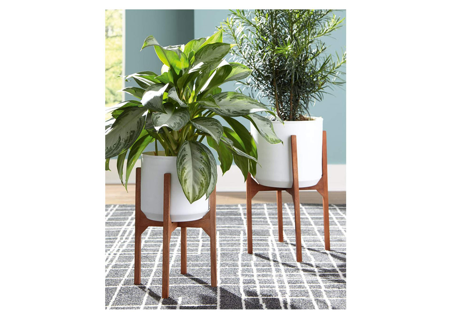 Dorcey Planter (Set of 2)