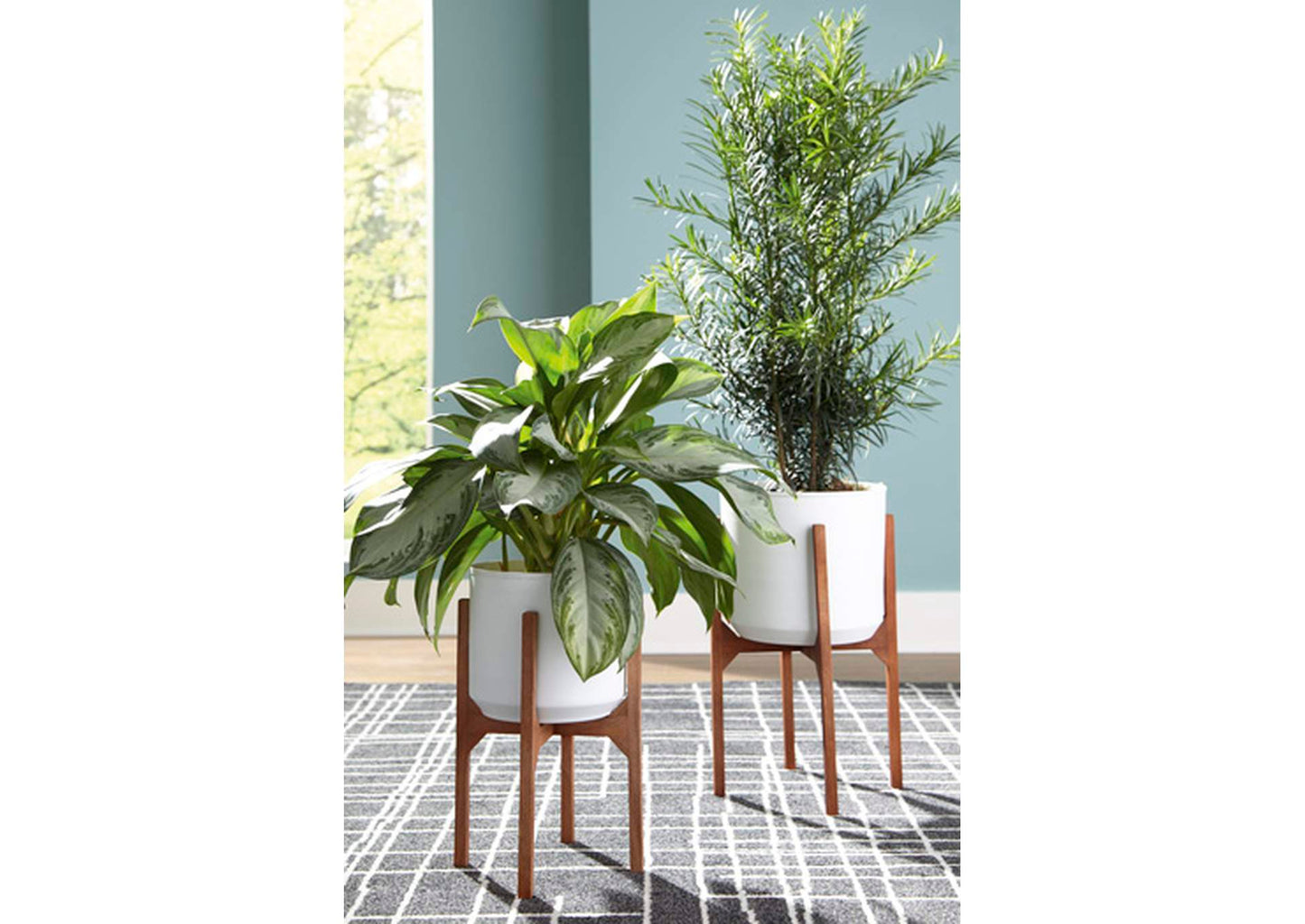 Dorcey Planter (Set of 2)