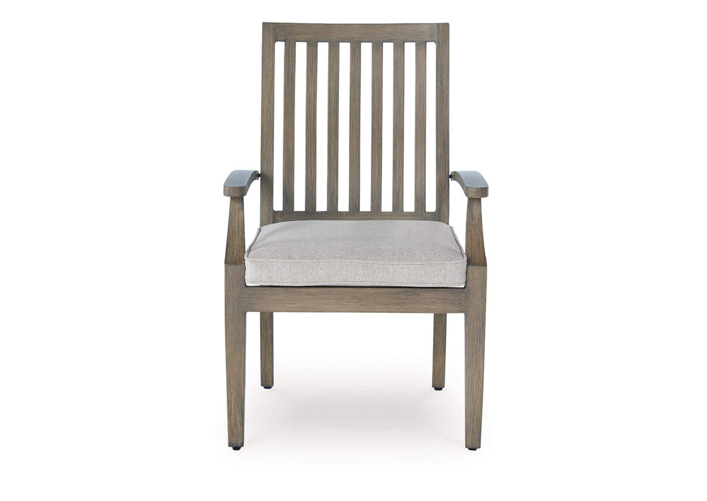 Rainier Ranch Outdoor Arm Chair with Cushion (Set of 2)