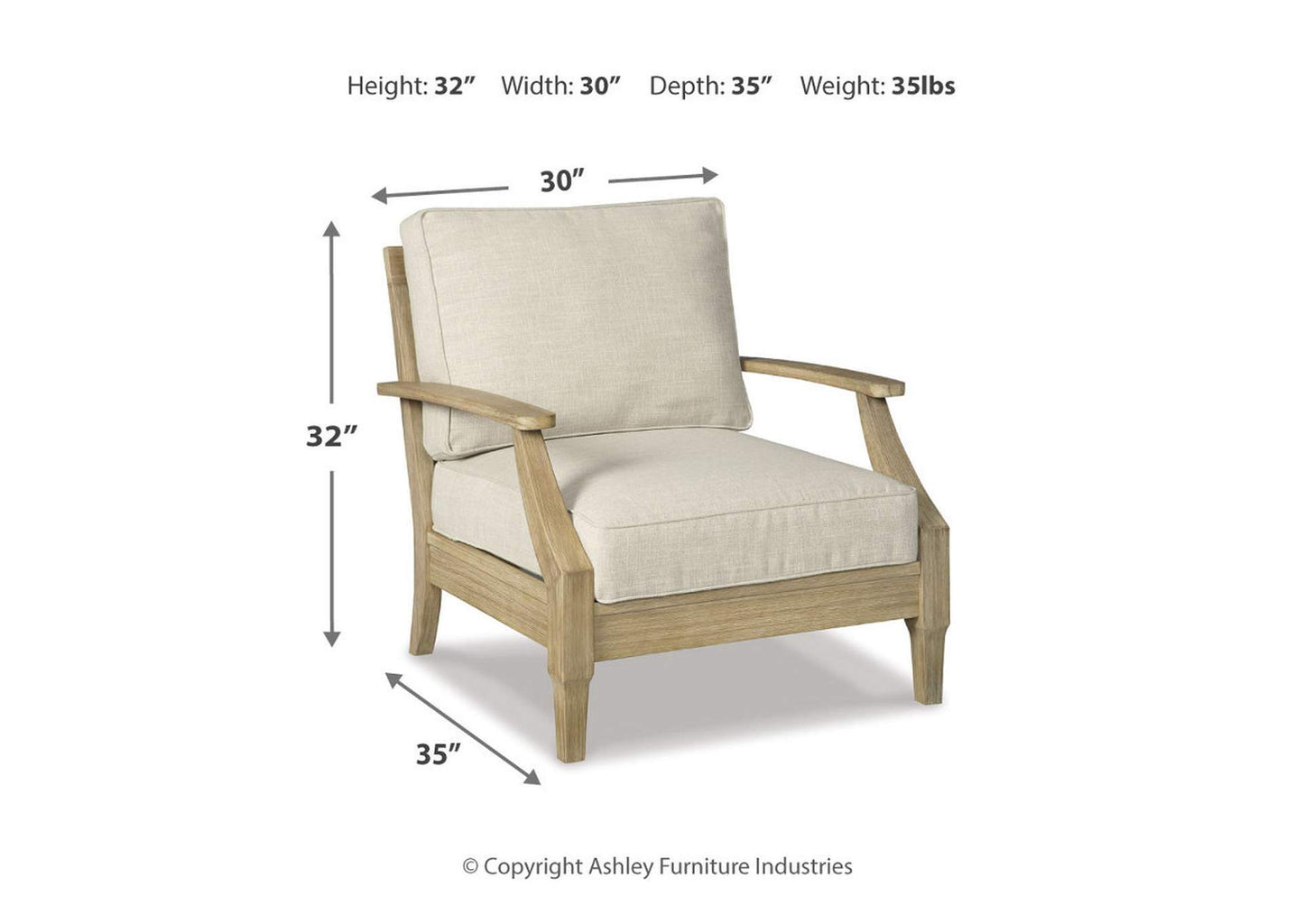 Clare View Lounge Chair with Cushion